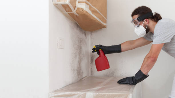 Professional Mold Testing technician working in Bedminster, NJ